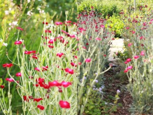 No 7. homemade icecream pots