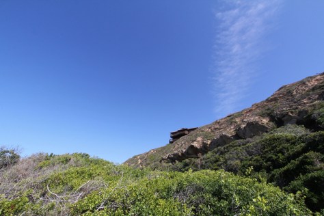 12. chickenliver.jpg