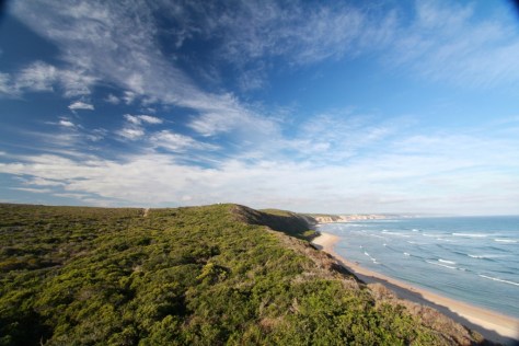 The view from the Stoep...