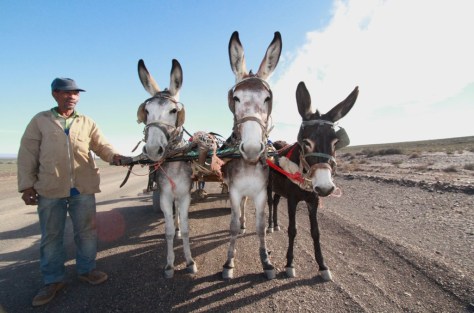 Fellow road users.. locals on their way to the Tankwa Padstal for their weekly shopping