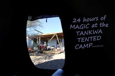 NO 19. tankwa scotch eggs.jpg