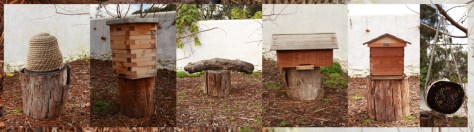 Getting up close and personal.. 