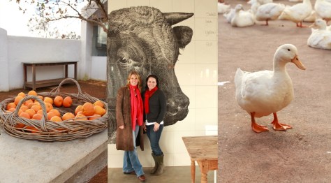 Not sure if Babel was ready for my farm boots but it fitted right in and was lovely and warm..