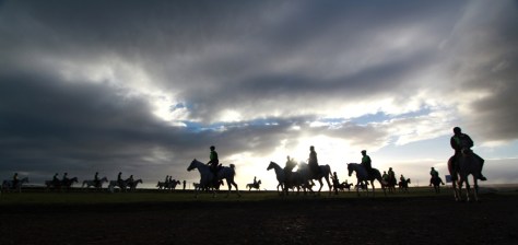 Early morning start to the Tip of Africa 2013 endurance ride