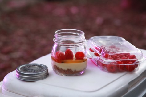 Picnic dessert jars...