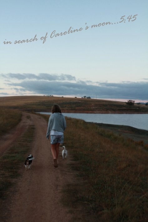 Taking Leila for an early morning walk...