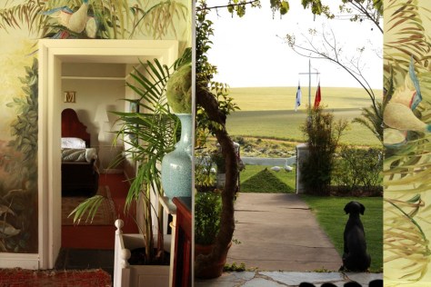 Visuals from the Breakfast table...