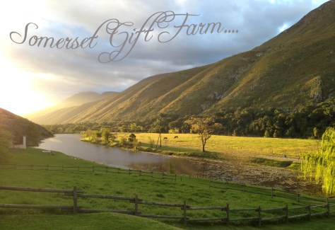 Late afternoon view from the "stoep"...