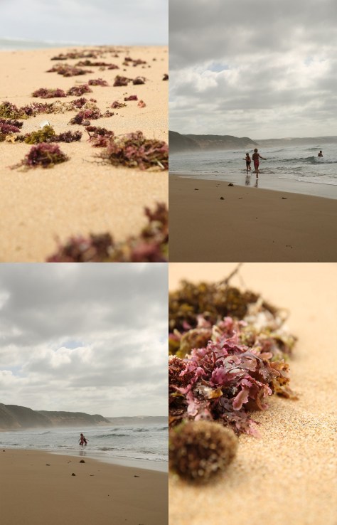 The beautiful Bosbokfontein beach..